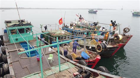 Đồn Biên phòng đảo Trần: Đồng hành cùng ngư dân bám biển - Báo Quảng Ninh điện tử