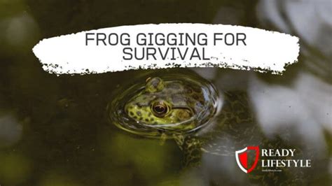 Frog Gigging - How to catch, clean and cook frogs