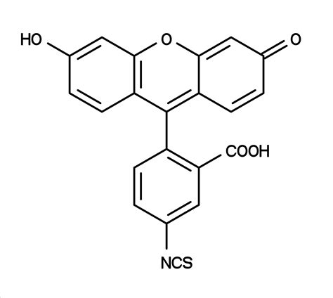 5-FITC [Fluorescein-5-isothiocyanate] *CAS 3326-32-7* | AAT Bioquest