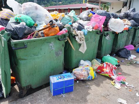 5 Waste Disposal Apps You Might Want To Check Out