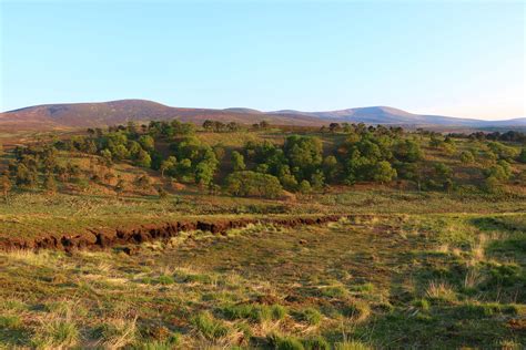 Expose Nature: It always has a very African plains feel up here during ...