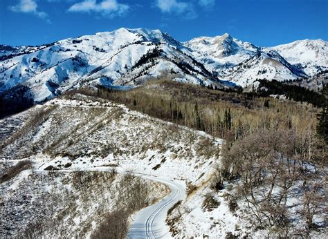 Snowshoeing for Beginners: 10 Tips to Get Started