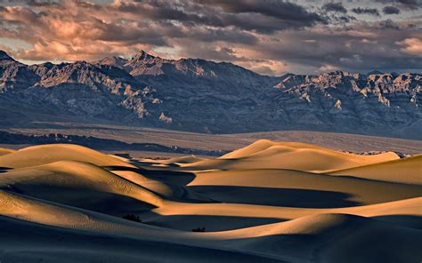 Sand Dunes Wallpapers - Wallpaper Cave