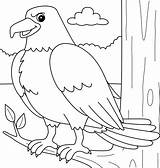 Eagle Animal Coloring Page For Kids 20002594 Vector Art At Vecteezy sketch template