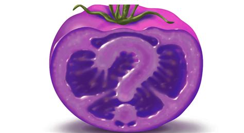 GMO Purple tomato - Our Family Farms