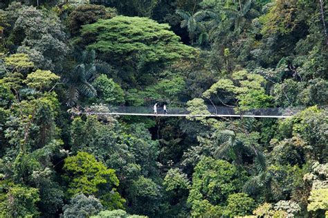 Mistico Arenal Hanging Bridges Park - La Fortuna Costa Rica | Costa rica travel, Arenal costa ...