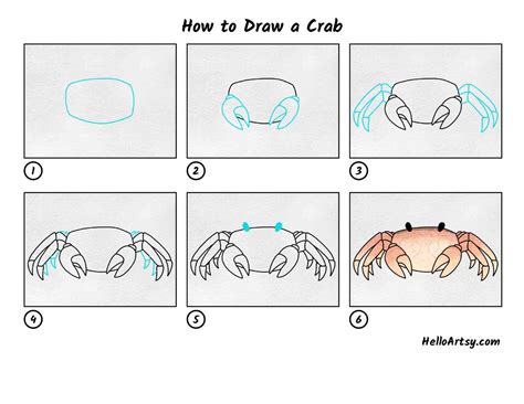 How to Draw a Crab - HelloArtsy