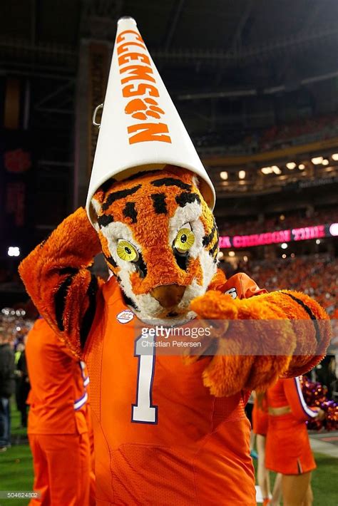 the-clemson-tigers-mascot-the-tiger-cheers-during-the-2016-college ...