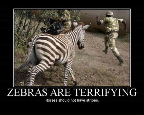 Funny Zebra Quotes. QuotesGram