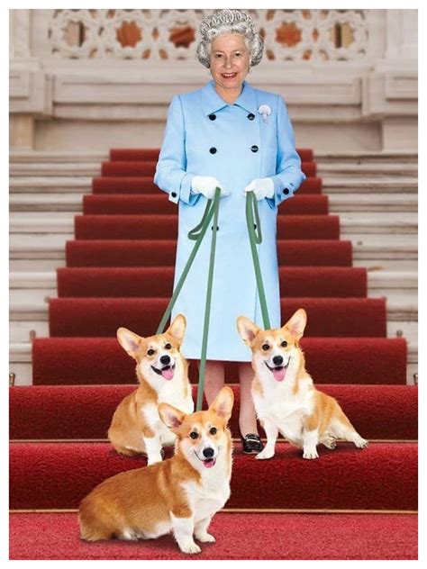 10 Must-Knows About The Queen’s Favorite Corgi Dogs | Metro.Style