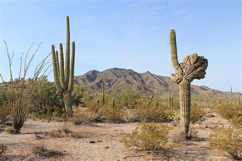 Maricopa Mountains Highpoint, Arizona, December 2022 – GlassMountains ...