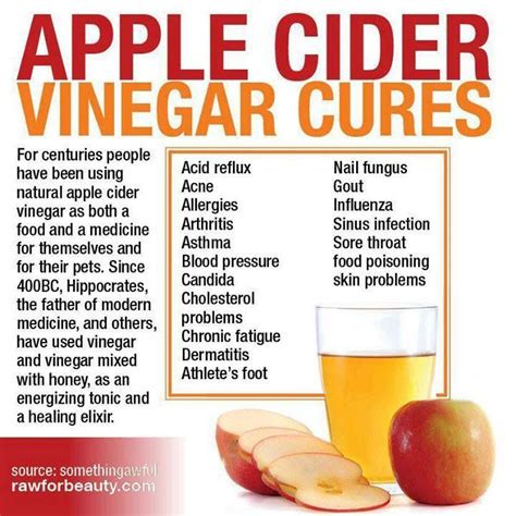 The benefits of Apple Cider Vinegar | Apple cider vinegar cures, Apple ...