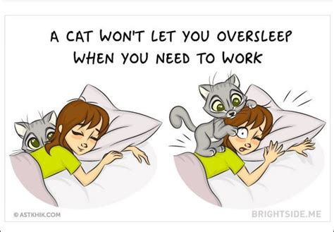 Adorable Comics Show Us How Cats Help Us In Everyday Life - I Can Has ...