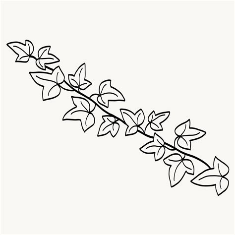 Floral ivy drawing decorative ornament flat design. 16119900 Vector Art at Vecteezy