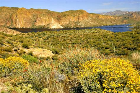 Apache Trail: Canyon Lake, Tortilla Flat and Beyond - RVing with Rex