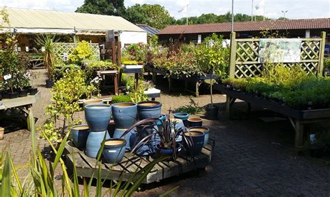 Sefton Meadows Garden Centre - Maghull, MERSEYSIDE | Groupon