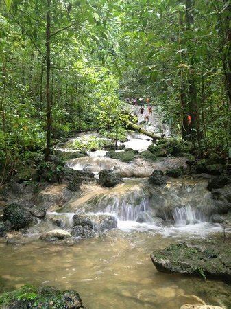 RUTA MISTICA DEL BOSQUE ENCANTADO (Puerto Rico) - 2022 Qué saber antes ...