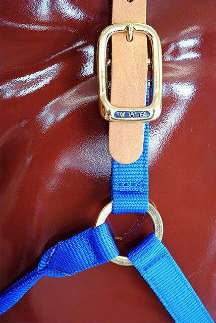 ROYAL BLUE HILASON WESTERN SHOW TACK HORSE BREAKAWAY NYLON HALTERS U--702 - Bridles, Headstalls