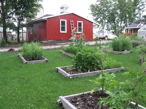 Top 5 Benefits of Raised Beds for Your Herb Garden - Beat Your Neighbor