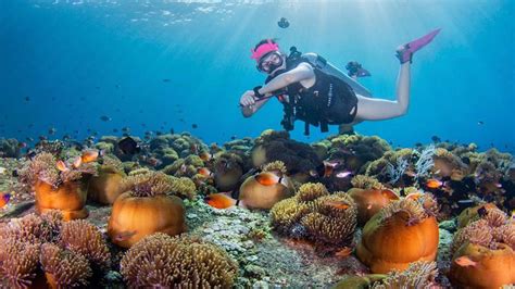 The Best Places to Dive in Bali - Let's Dive Tulamben