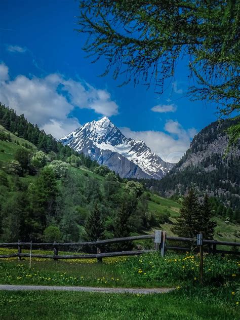 Hiking in swiss national park near zernez in summer | Stock image ...