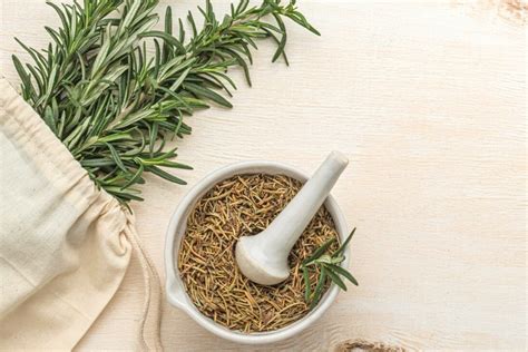 Rosemary - Medicinal and Practical Uses - Pure Homeopathy