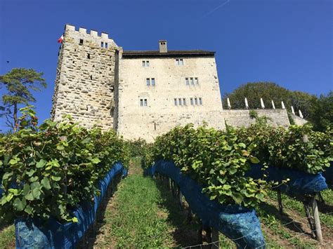 Schloss Habsburg (Habsburg Castle) – Habsburg, Switzerland - Atlas Obscura