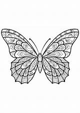 Coloring Pictures Of Butterflies For Kids sketch template