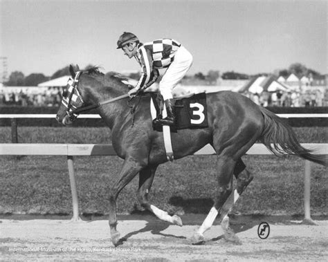 Secretariat the famous race horse | Horses, Beautiful horses, Thoroughbred horse