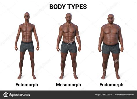 Endomorph Transformation