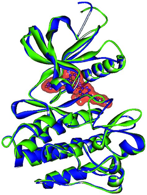 Structure alignment of imatinib bound BCR-ABL kinase (PDB_ID: 1IEP)... | Download Scientific Diagram