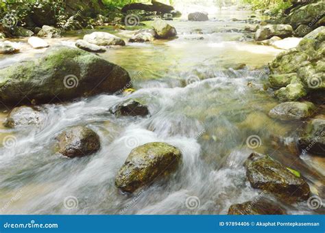 River Flowing on Cataract and Water Splashing in Forest Stock Photo - Image of line, curve: 97894406