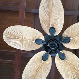 Modern Forms Indoor Ceiling Fans