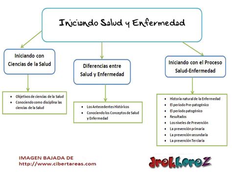 Noveno Pino Primero mapa conceptual sobre la salud alimentar Cuerpo La Internet