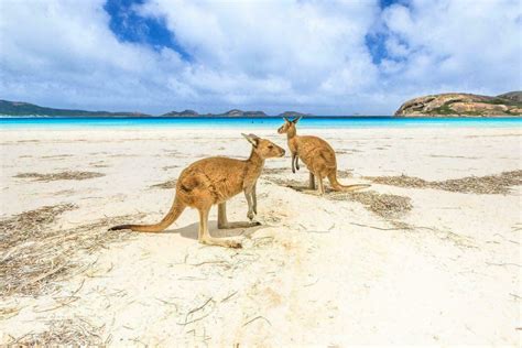 Les 10 plus belles plages d’Australie - OK Voyage