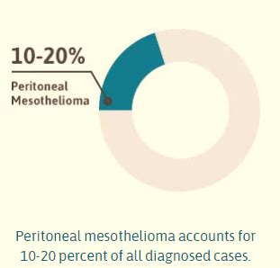 peritoneal mesothelioma - wikitechy