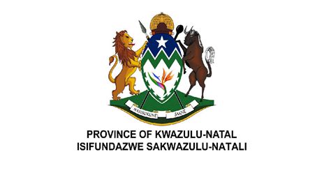 KZN Dept of Education: Internships 2023 [x264 posts]