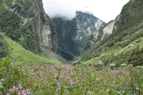 Valley of Flowers and Hemkund Sahib Trek Blog – The Globetrot Mom