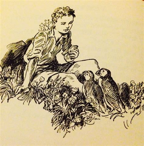 Illustration by Stuart Tresilian in The Sea of Adventure by Enid Blyton | Childrens ...