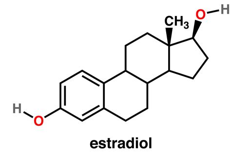 Estradiol function, normal estradiol levels, uses, test, dosage & side effects