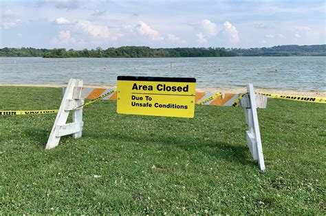 Swimming Area Closed at Blue Marsh Lake