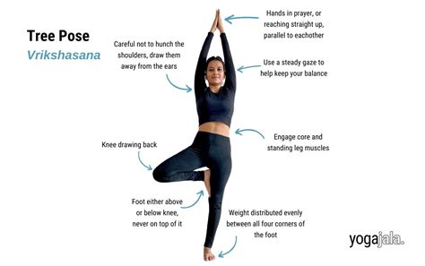 Tree Pose (Vrikshasana)