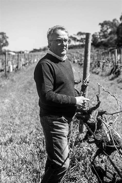 Under the sun: spend a day at McLaren Vale's Angove vineyeard - RUSSH