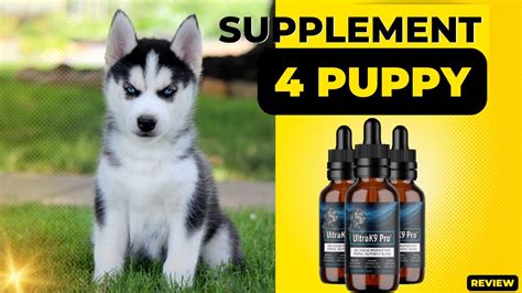 All About UltraK9 Pro Supplement - What is Ultra K9 Pro Supplement For Puppies? - YouTube