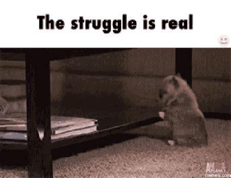 Jjm Struggle Is Real GIF - Jjm StruggleIsReal Struggle - Discover ...