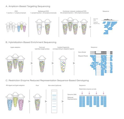 Genotyping by Sequencing | Sequence-based genotyping methods