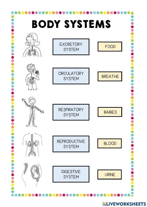 Body systems interactive activity for 2. You can do the exercises online or download the ...