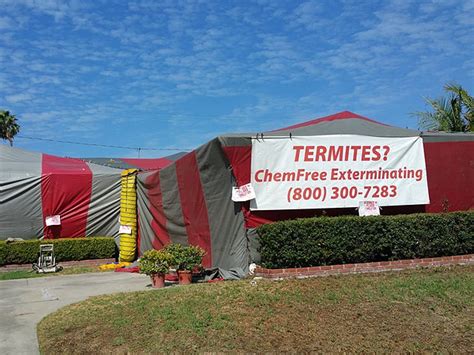 Tent Fumigation – Chem Free