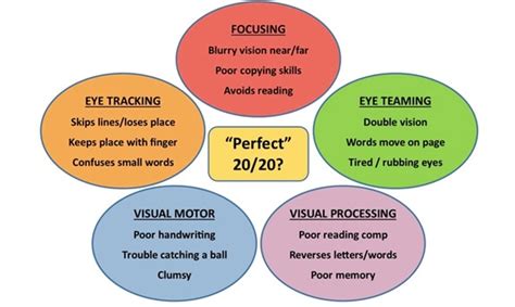 Vision Therapy Facts | Children's Clear Vision