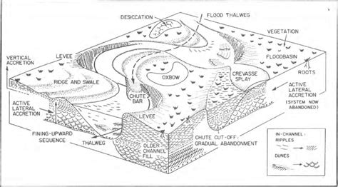 Block diagram showing morphological elements of a meandering river... | Download Scientific Diagram